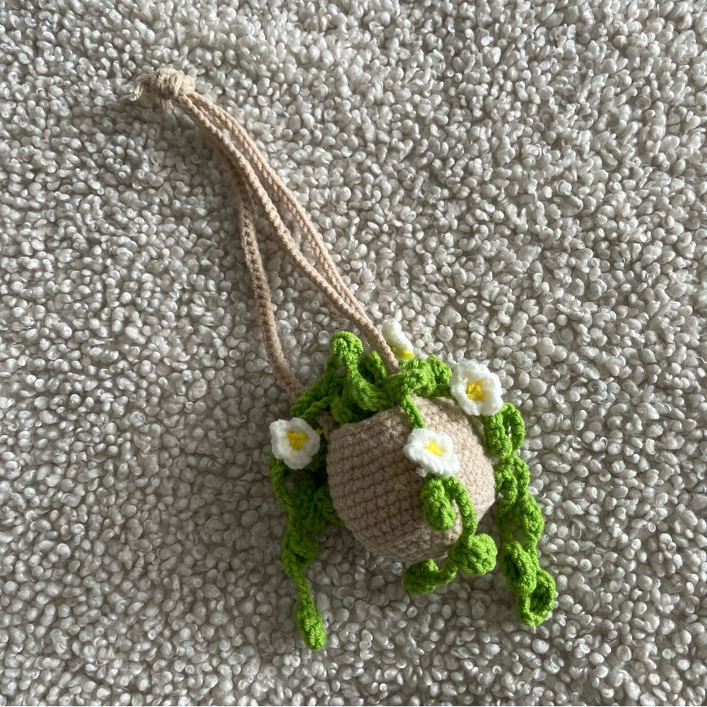Crocheted hanging flower basket